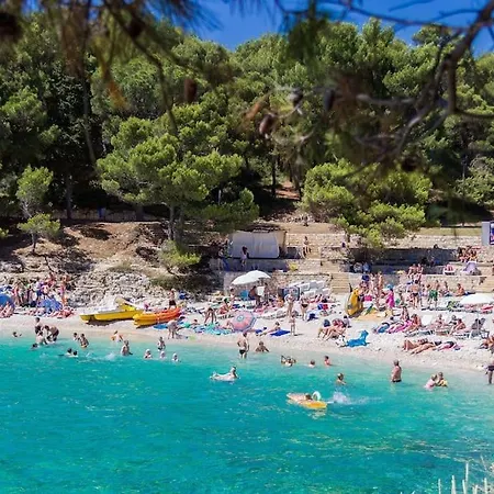 Quirky Arena With Parking アパート プーラ